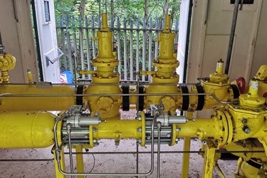 im-series-scotland-field-trial.jpg