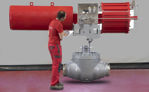 Chhara-LNG_irudia_REV02.jpg