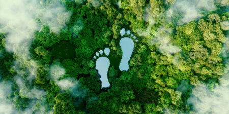 iStock-1344923073-450x225.jpg